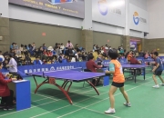 米兰捕鱼-最后关头，女子乒乓球队奋力一搏的简单介绍