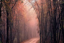 米兰,-布宜诺斯艾利斯独立球队目标明确，誓夺世俱杯最高荣誉