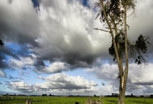 米兰捕鱼-今夜意甲风云：意大利的“内马尔之憾”与绿茵场上的刀光剑影