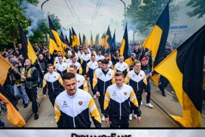 德累斯顿球队努力拼搏,成功取得一场胜利 德累斯顿球队努力拼搏,成功取得一场胜利