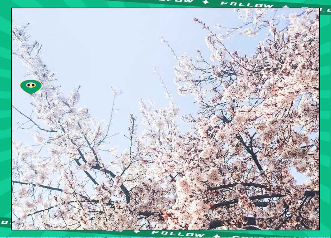 大阪樱花惊艳出场，晋级先锋!